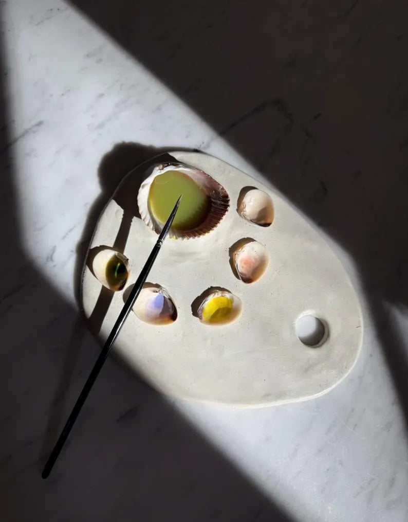 Seashell Paint Pallete
